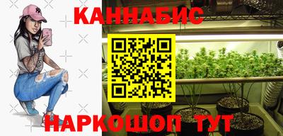 сатива Гудермес