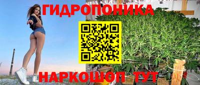 сатива Гудермес