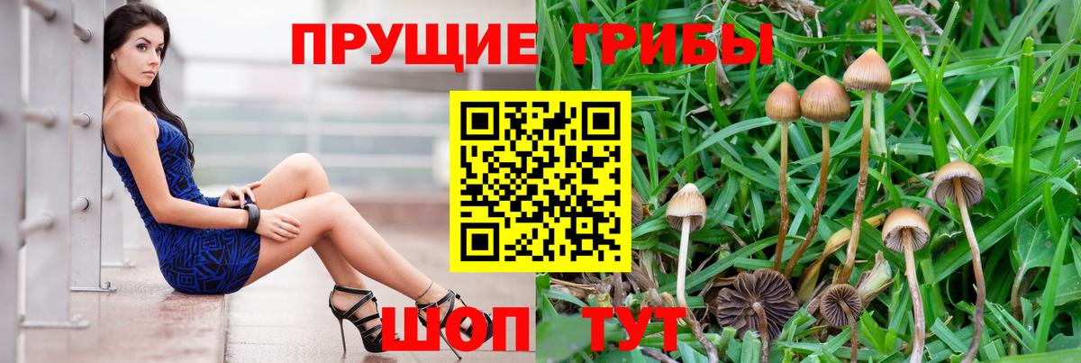 Псилоцибиновые грибы Psilocybe  Галлюциногенные грибы ЛСД  Вход с VPN  Старый Оскол 