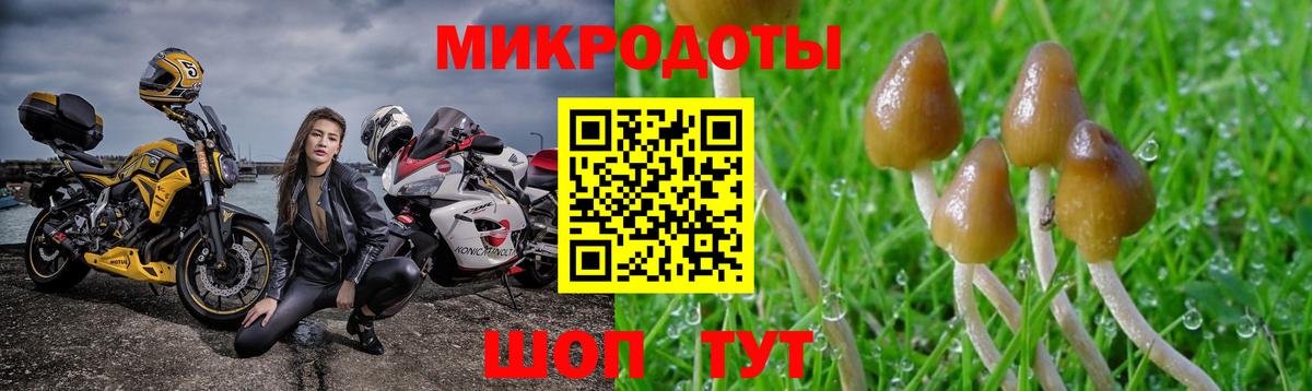 Галлюциногенные грибы GOLDEN TEACHER Старый Оскол
